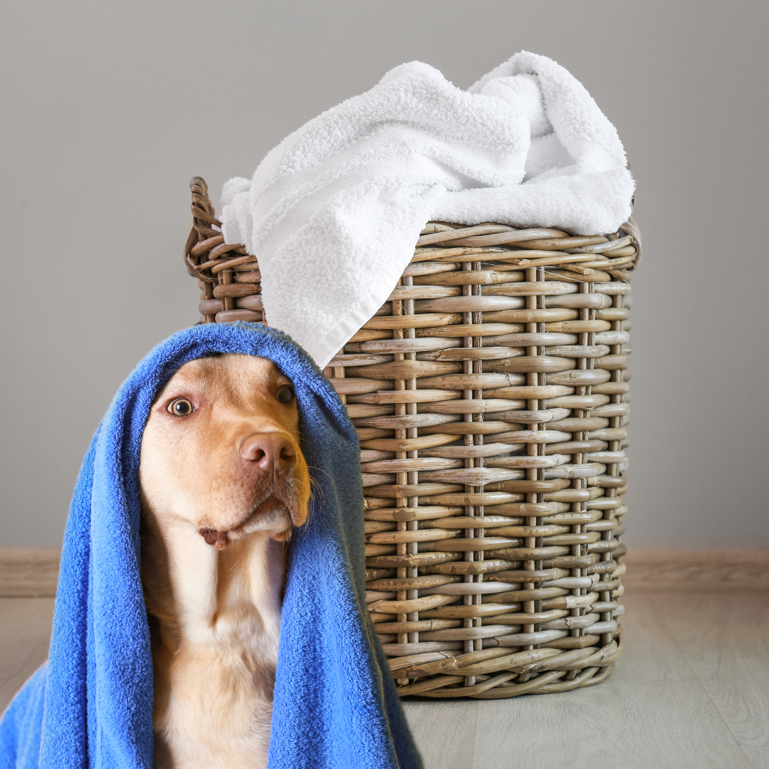 Why Do Towels Start Shedding (Pilling)?