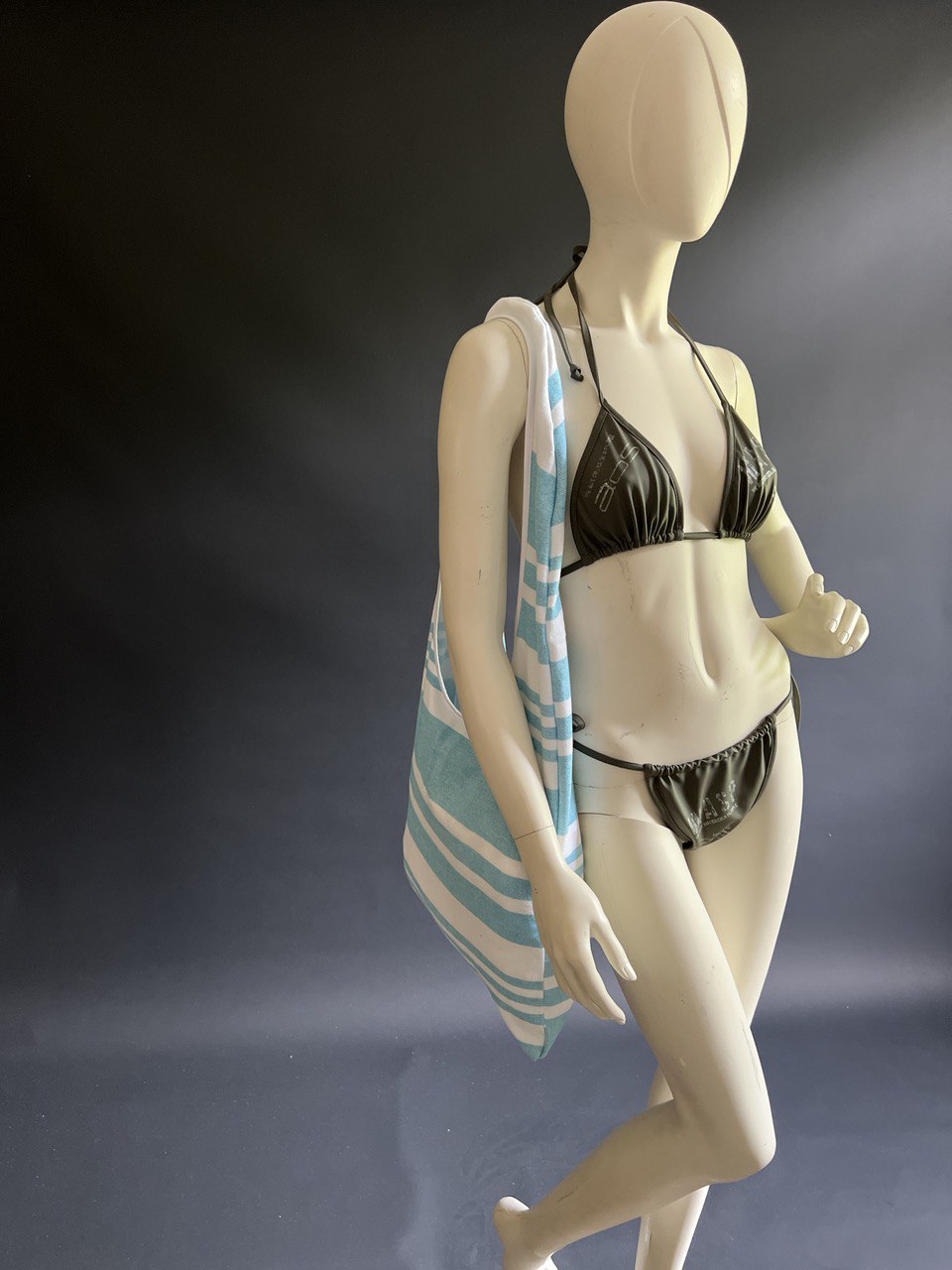 Pludmales dvieļu soma